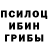 Псилоцибиновые грибы прущие грибы Nadiia Kulyk