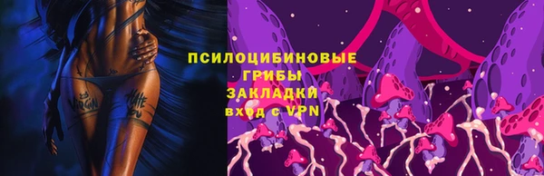 ECSTASY Алексин