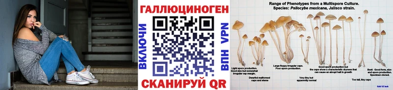Псилоцибиновые грибы GOLDEN TEACHER  Туринск 